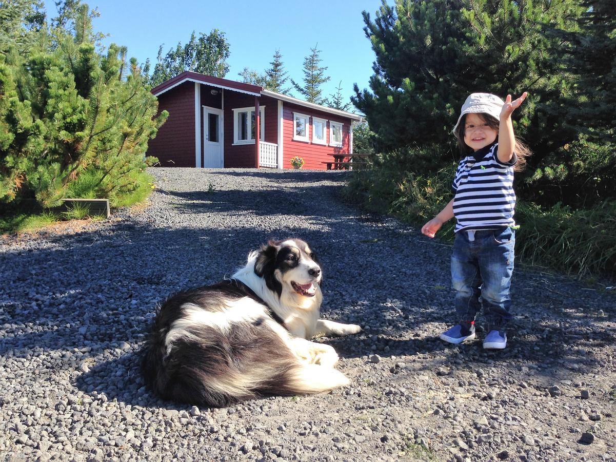 Klara'S Farm Holidays ヘトラ エクステリア 写真