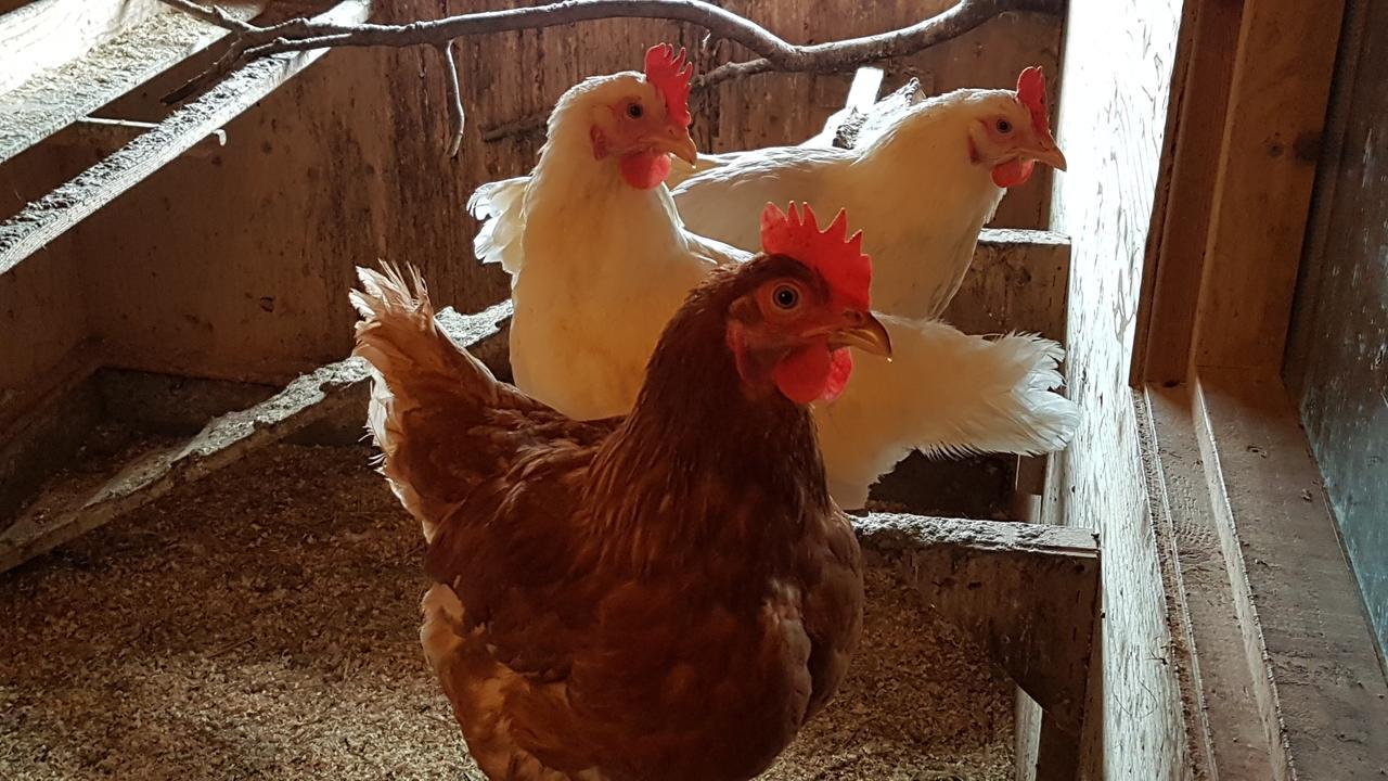 Klara'S Farm Holidays ヘトラ エクステリア 写真