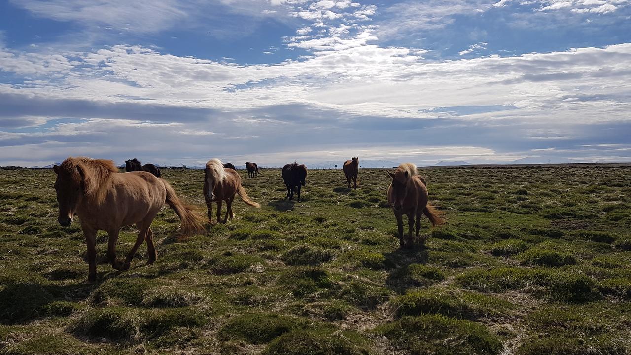 Klara'S Farm Holidays ヘトラ エクステリア 写真