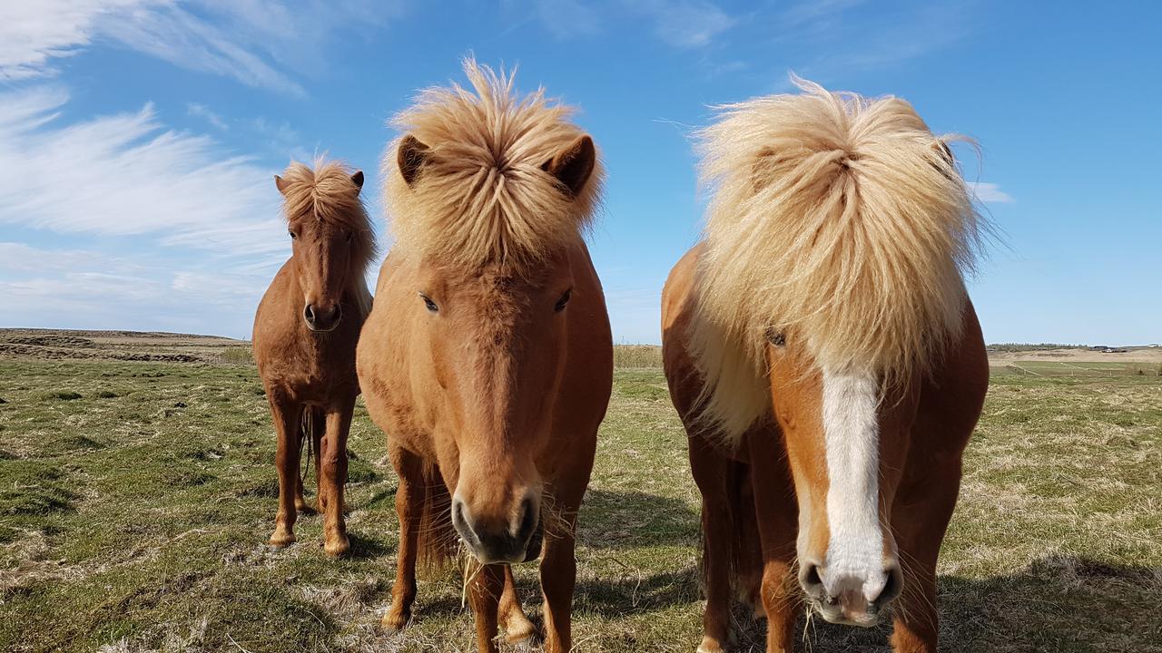 Klara'S Farm Holidays ヘトラ エクステリア 写真