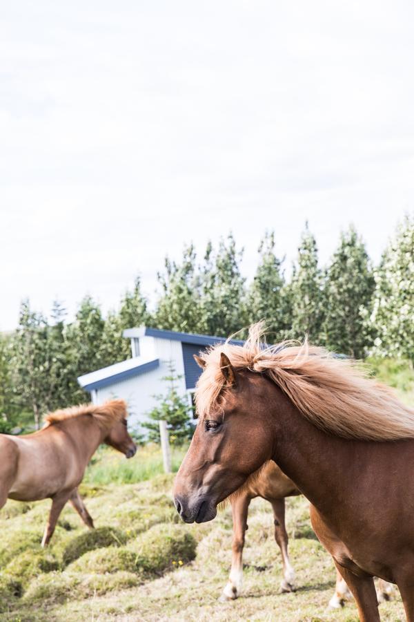 Klara'S Farm Holidays ヘトラ エクステリア 写真